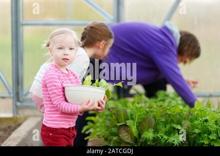 Cute bambina che tiene una ciotola con freschi ravanelli organici. Bambino che aiuta in un giardino. Cibo biologico fresco e sano per bambini piccoli. Nutrizione di famiglia in Foto Stock