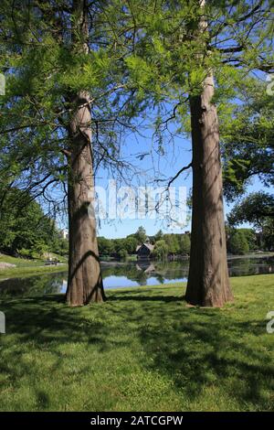 Harlem Meer, Central Park, Manhattan, New York City, Usa Foto Stock