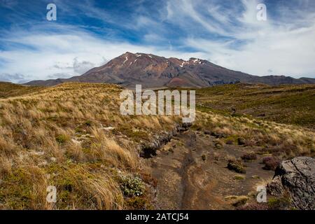 Vista panoramica sul Monte Ruapehu nel Parco Nazionale di Tongariro con splendide nuvole, Nuova Zelanda, Isola del Nord Foto Stock