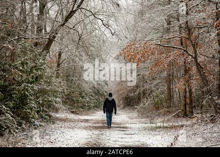 Escursionista su un sentiero innevato nella Pisgah National Forest, vicino Brevard, North Carolina, USA Foto Stock