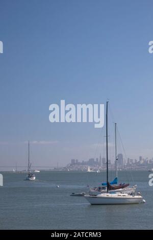 Barche a vela al largo di San Francisco, California, Stati Uniti Foto Stock