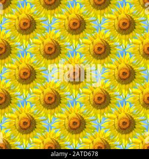 Primavera astratta senza cuciture, sfondo naturale estivo di girasoli fioriti Foto Stock