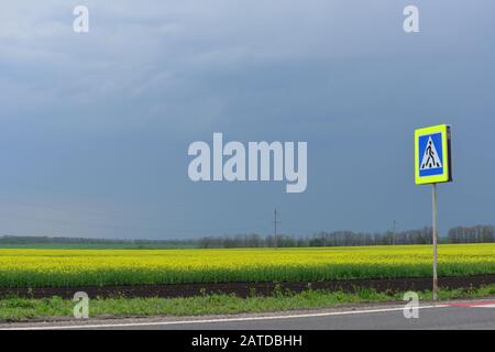 Vista sul campo di colza giallo, con attraversamento pedonale Foto Stock