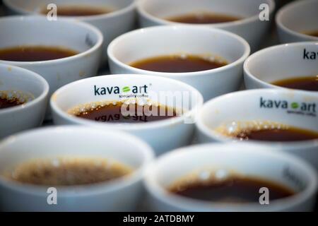 Una serie di tazze con caffè, preparate per la degustazione (stima della qualità) Foto Stock