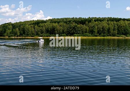 Vista generale del lago artificiale di Vlasina circondato da una pineta in estate, sud-est della Serbia, Europa Foto Stock