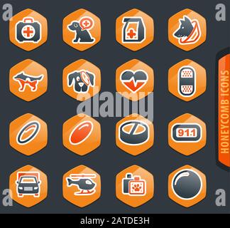 Ambulatorio veterinario set di icone Illustrazione Vettoriale