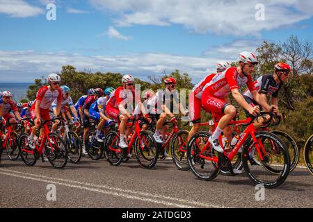 Geelong, Australia. 02nd Feb, 2020. 2 febbraio 2020: Geelong, AUSTRALIA - 2 FEBBRAIO 2020: Il team di Cofidis durante il 2020 Cadel Evans Great Ocean Road Race Credit: Chris Putnam/ZUMA Wire/Alamy Live News Credit: Zuma Press, Inc./Alamy Live News Foto Stock