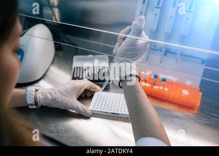 Lo scienziato mette campioni di frammenti di DNA per elettroforesi utilizzando una pipetta Foto Stock
