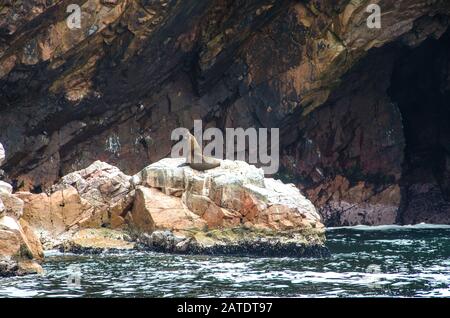 Parco Nazionale Paracas In Perù Vicino Ica, Perù Foto Stock