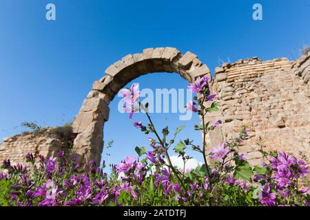 Resti di case nel villaggio presso le antiche rovine romane di Djemilla, un sito patrimonio dell'umanità dell'UNESCO nell'Algeria settentrionale, vicino a Setif. Foto Stock