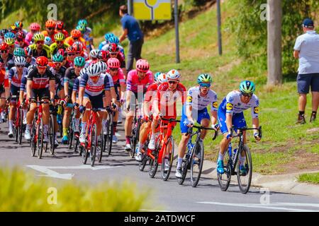 Geelong, Australia. 02nd Feb, 2020. 2 febbraio 2020: Geelong, AUSTRALIA - 2 FEBBRAIO 2020: Il peloton rotola attraverso una rotonda durante il 2020 Cadel Evans Great Ocean Road Race Credit: Chris Putnam/ZUMA Wire/Alamy Live News Credit: Zuma Press, Inc./Alamy Live News Foto Stock