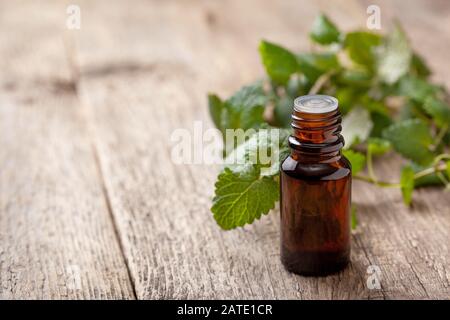 bottiglia con olio essenziale di menta, rami di menta fresca su un vecchio sfondo di legno Foto Stock