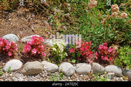 Fiori decorativi nel cortile interno di Yverdon in Svizzera Foto Stock