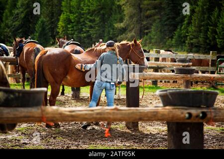 Ragazze che governano i cavalli, Montana, Stati Uniti Foto Stock