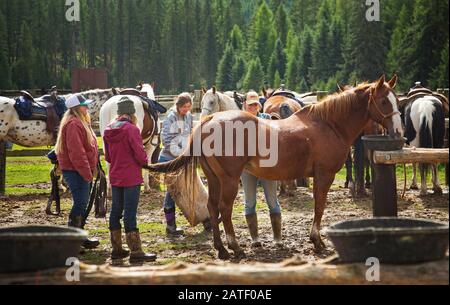 Ragazze che governano i cavalli, Montana, Stati Uniti Foto Stock