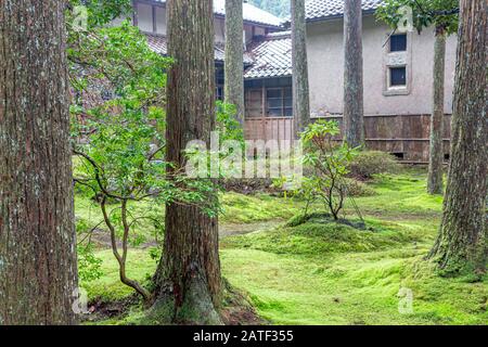 Hiyo Moss Garden nella Foresta della saggezza, Komatsu, Ishikawa, Giappone. Foto Stock