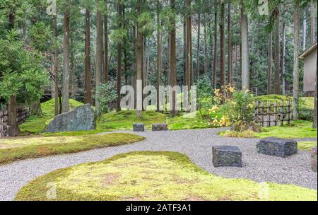 Hiyo Moss Garden nella Foresta della saggezza, Komatsu, Ishikawa, Giappone. Foto Stock