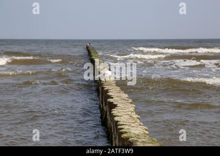 Groynes nel Mar Baltico con piccole onde nella località balneare di Zempin sull'isola di Usedom Foto Stock