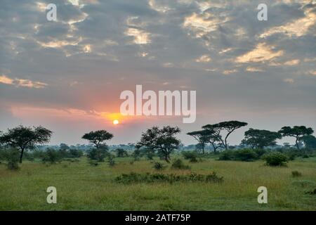Paesaggio con alba nel Parco Nazionale del Serengeti, sito patrimonio mondiale dell'UNESCO, Tanzania, Africa Foto Stock