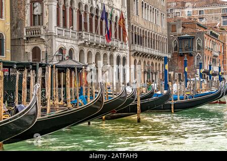 Una linea di gondole ormeggiate a pali in legno lungo il Canal Grande, Venezia, Italia Foto Stock