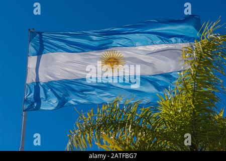 Bandiera nazionale argentina che soffia nel vento, Buenos Aires, Argentina, America Latina Foto Stock