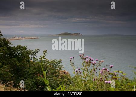 Ireland's Eye Island preso da Howth, Dublino, Irlanda Foto Stock