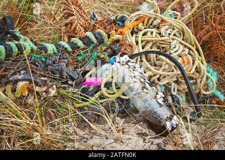 i pinnacoli a collo d'oca si abboccano a un giro attraverso l'oceano su plastica Foto Stock