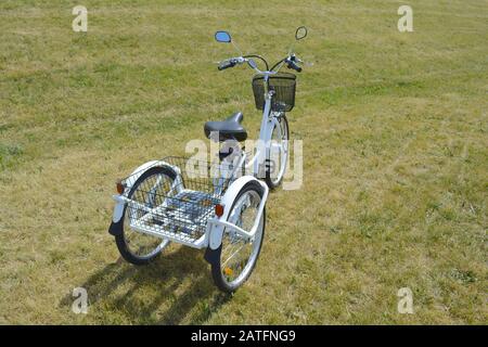 Il trike elettrico o in bicicletta nel parco nella soleggiata giornata estiva. Inquadratura dal lato. Non filtrato con illuminazione naturale. La vista della e motore e la potenza ba Foto Stock