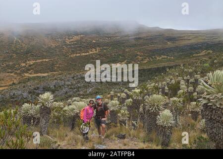 Trekking tra i ferraejones in alta quota Páramo de Oceta trekking, Monguí, Boyaca, Colombia Foto Stock