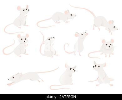 Set di mouse grigio in diverse pose cute piccolo mammifero animale piatto illustrazione vettore isolato su sfondo bianco Illustrazione Vettoriale