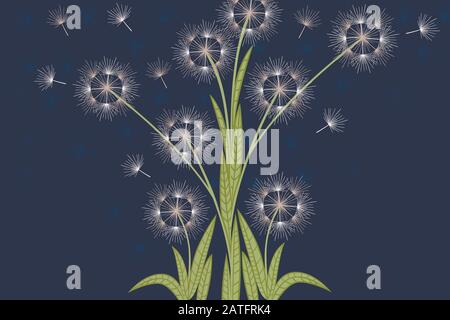 Dandelions fiori con semi volanti su sfondo blu scuro piatto vettore verticale illustrazione Illustrazione Vettoriale