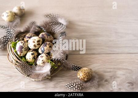 Quail Uova di pasqua e piuma in nido d'uccello su sfondo rustico in legno con spazio copia. Primavera, Pasqua e sano concetto di cibo biologico. Foto Stock