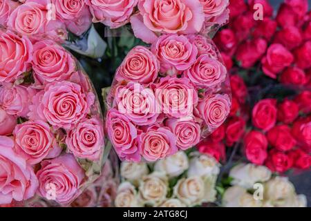 Vista ravvicinata di varie rose di colore rosso, bianco e rosa che fioriscono sullo sfondo del fiorista. Vivido fiore pastello in fiore. Rose in fiore per San Valentino. Foto Stock