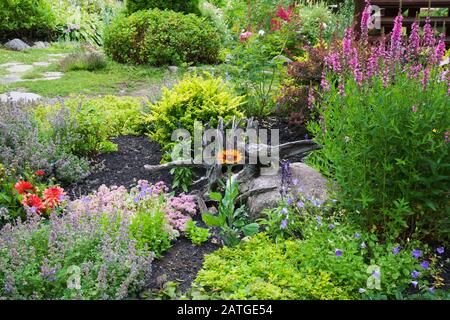 Red Dahlia, blu Nepeta - menta, arancio Rudbeckia - Coneflower, Campanula carpatica - Bellflower, viola Lythrum - Loosewlife fiori e Sedum Foto Stock