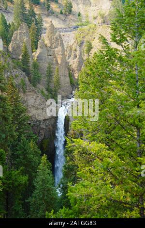 Le impressionanti Tower Falls nel Parco Nazionale di Yellowstone condividono il paesaggio con hoodoos e splendide piante. Foto Stock