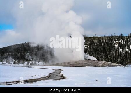 Il geyser Old Faithful erutta in una giornata invernale, sprigendo vapore e acqua calda in alto nel cielo. Parco Nazionale Di Yellowstone, Wyoming, Stati Uniti. Foto Stock