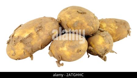 Gruppo di patate novelle sporche non lavate isolate su fondo bianco Foto Stock