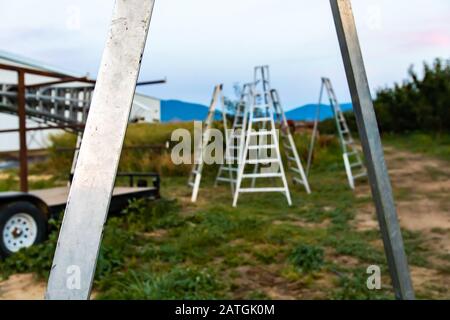 Vista ravvicinata di una scala metallica che si erge nel giardino. Messa a fuoco selettiva. Treppiede frutta pocking scale sullo sfondo Foto Stock