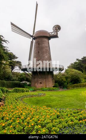 Dutch Windmill situato sul bordo occidentale del Golden Gate Park con fiori colorati in una giornata piovosa. San Francisco, California. Foto Stock