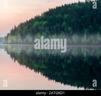 Riflessi di pini nelle acque di confine del Minnesota Foto Stock