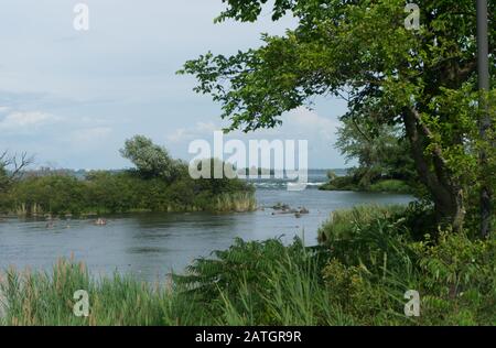 Rapids Park Island a Lasalle, anche un santuario degli uccelli all'interno della città di Montréal, Montréal, provincia di Quebec, Canada Foto Stock