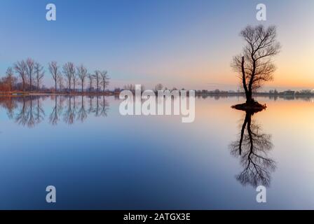 Solo albero in lago con cielo colorato Foto Stock