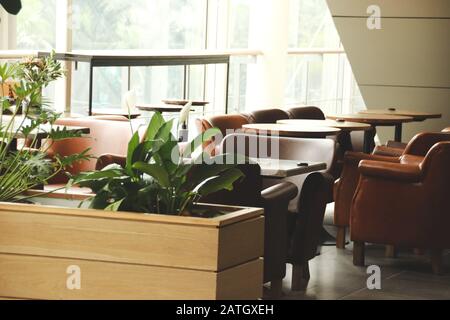 Piante interne che decorano il luogo di lavoro per promuovere uno spazio di lavoro calmo, neutrale di genere e sano Foto Stock