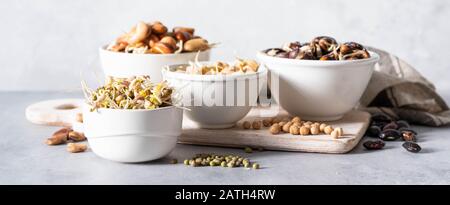 Selezione di legumi germogliati - fagioli, ceci, mung Foto Stock