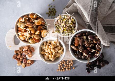 Selezione di legumi germogliati - fagioli, ceci, mung Foto Stock