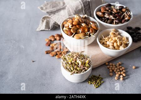 Selezione di legumi germogliati - fagioli, ceci, mung Foto Stock