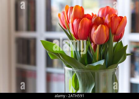 Bouquet di tulipani rossi in casa. Foto di vita, sfondo morbido Foto Stock