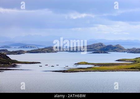 L'estate Isles Achiltibuie Ross-shire Highlands della Scozia Foto Stock