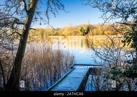 Una fredda e soleggiata mattinata invernale su Coate Water a Swindon. Foto Stock