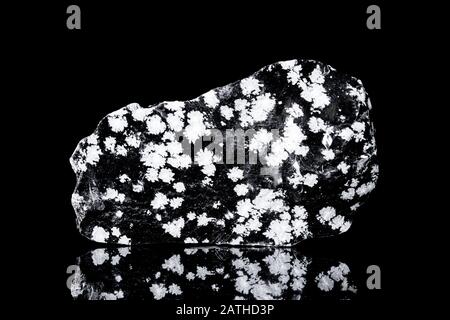 Vetro vulcanico in fiocco di neve grezzo di fronte a sfondo nero, mineralogia e geologia Foto Stock